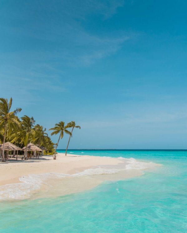 Paradise Maldives: Snorkeling, Escursioni e Relax Esotico