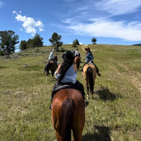 Montana e Wyoming a cavallo: vivi la vera America