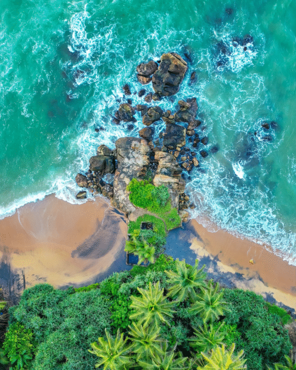Capodanno Tropicale: Sri Lanka e Maldive