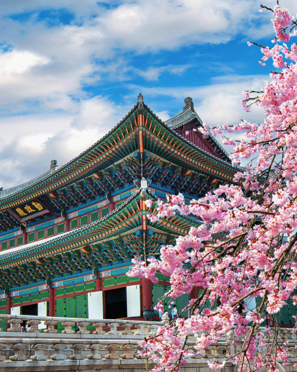 Corea del Sud: tra festival dei ciliegi, skincare e musica K-pop