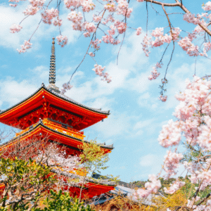 Dal Giappone autentico alla magia dei parchi divertimento: vivi il meglio di Tokyo, Kyoto, e Osaka