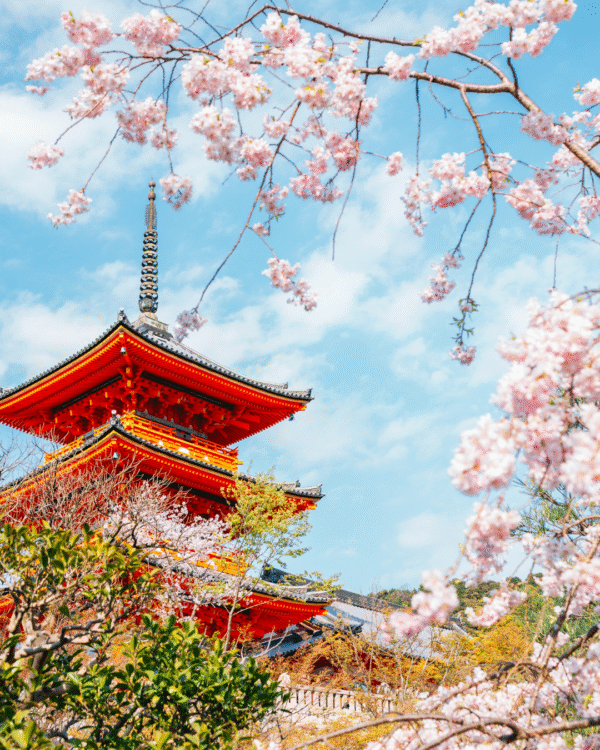 Dal Giappone autentico alla magia dei parchi divertimento: vivi il meglio di Tokyo, Kyoto, e Osaka