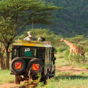 Safari in Kenya