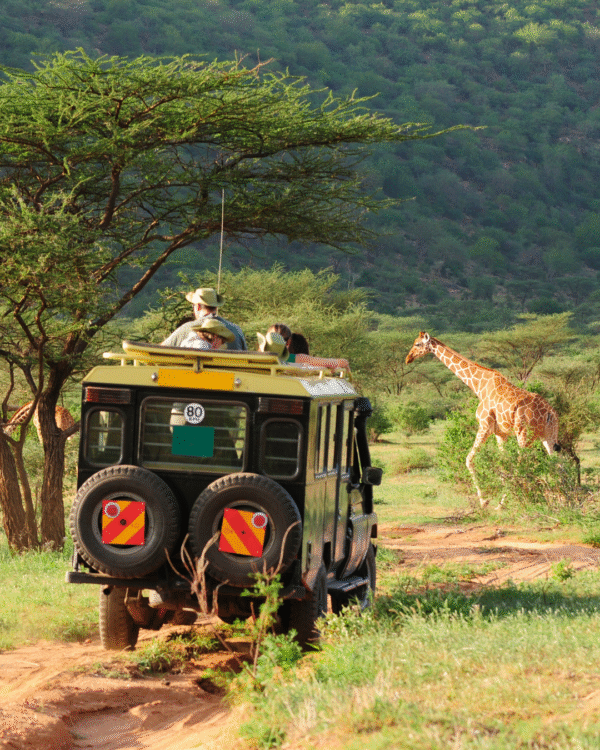 Safari in Kenya