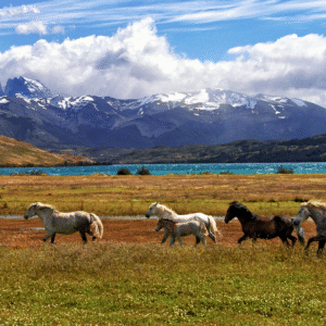Cina e Mongolia: la leggendaria Transmongolica da Pechino a Ulan Bator