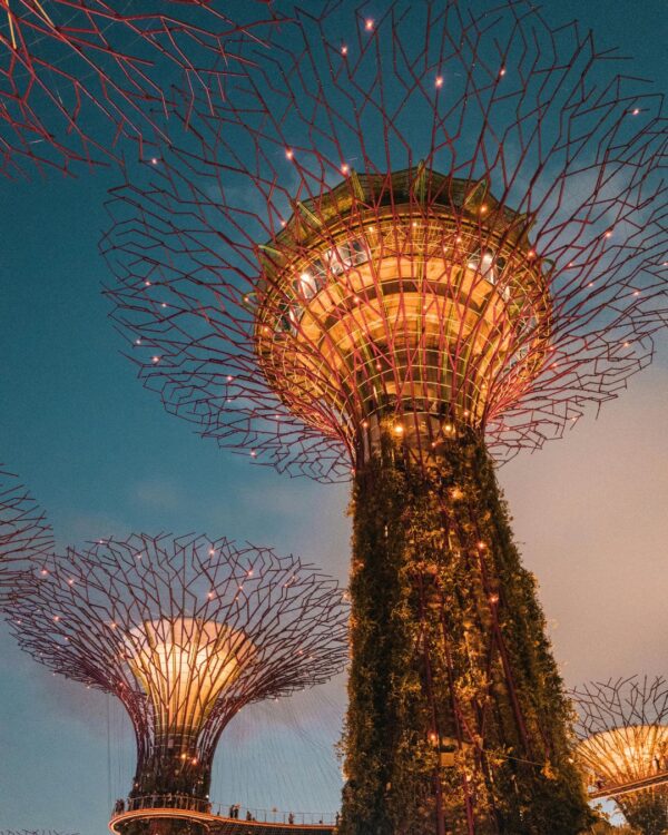 Dalla modernità di Singapore alla natura remota della Malesia