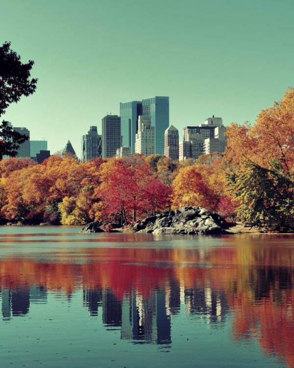 Thanksgiving a New York: tra pumpkin pie e vibes autunnali