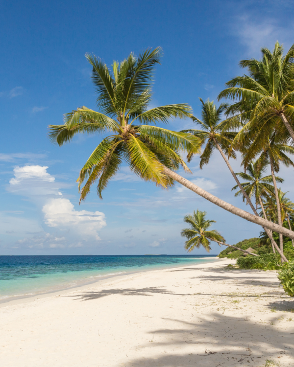 Maldive autentiche: lingue di sabbia e avventure spensierate
