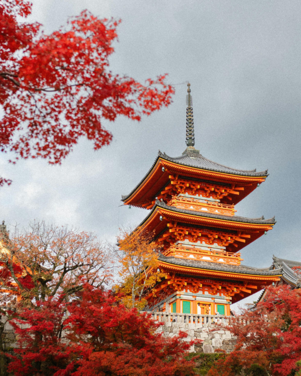 Giappone del Nord: viaggio autunnale tra Tokyo e Hokkaido
