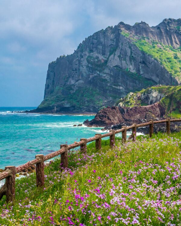 Corea del Sud: dalla modernità di Seoul e al mare di Jeju