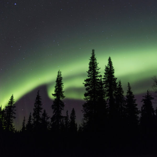 Da Milano al Circolo Polare Artico: sulle tracce dell'aurora boreale