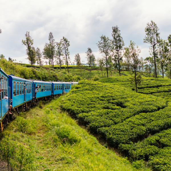 Sri Lanka: l’isola dei tesori nascosti